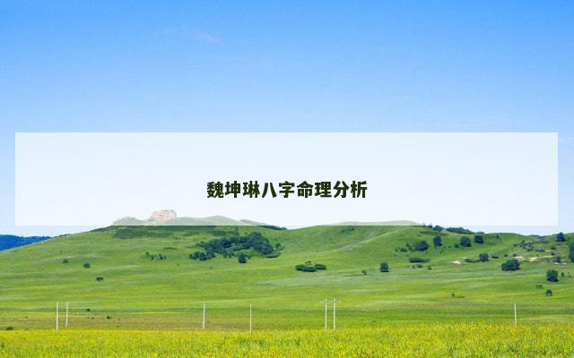 魏坤琳八字命理分析
