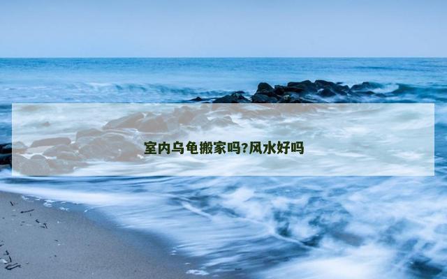 室内乌龟搬家吗?风水好吗