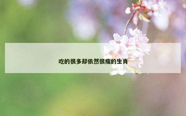 吃的很多却依然很瘦的生肖