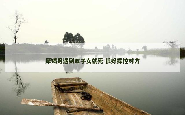 摩羯男遇到双子女就死 很好操控对方