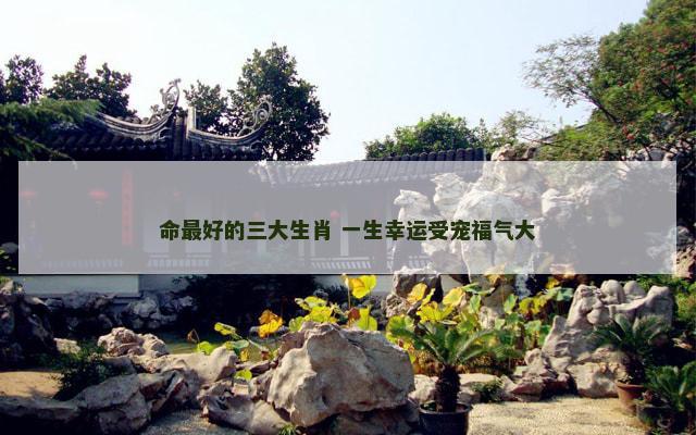 命最好的三大生肖 一生幸运受宠福气大