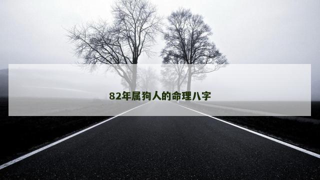 82年属狗人的命理八字