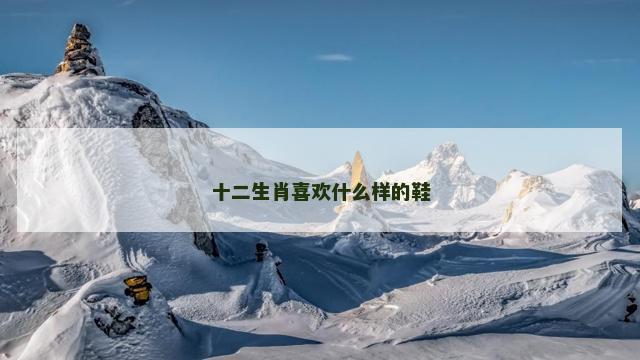 十二生肖喜欢什么样的鞋