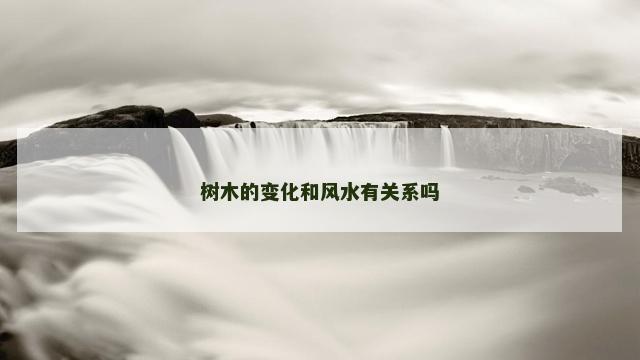 树木的变化和风水有关系吗