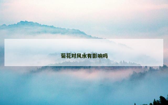 菊花对风水有影响吗