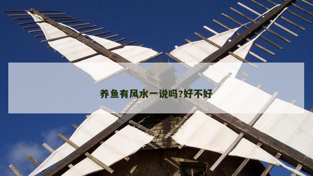 养鱼有风水一说吗?好不好