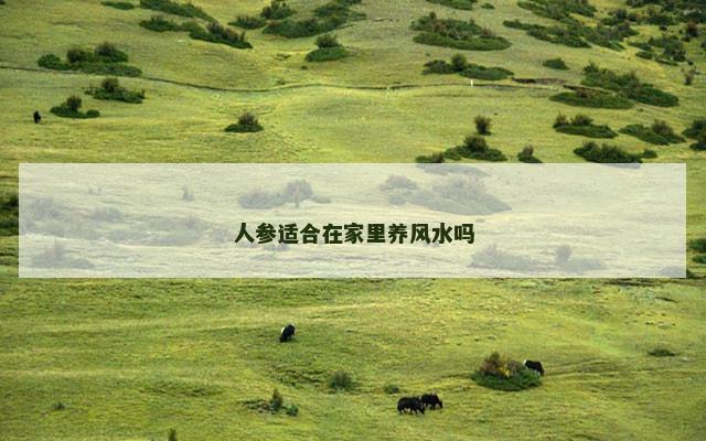 人参适合在家里养风水吗