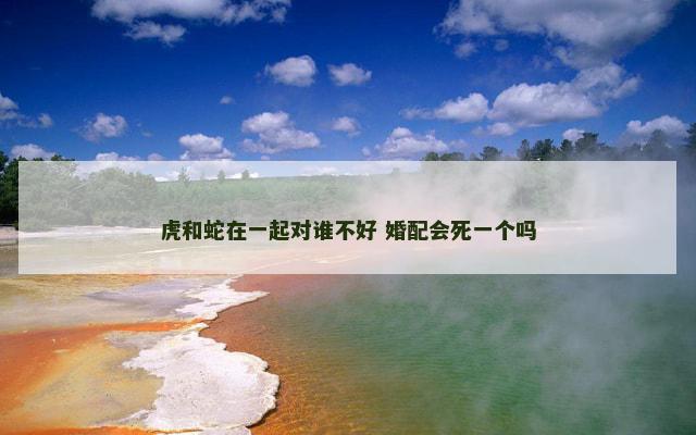 虎和蛇在一起对谁不好 婚配会死一个吗