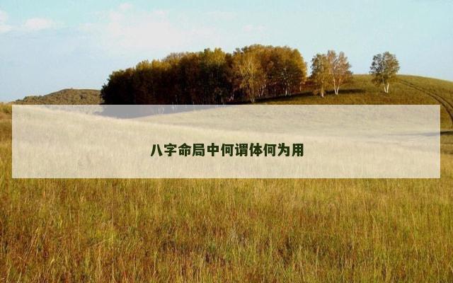 八字命局中何谓体何为用