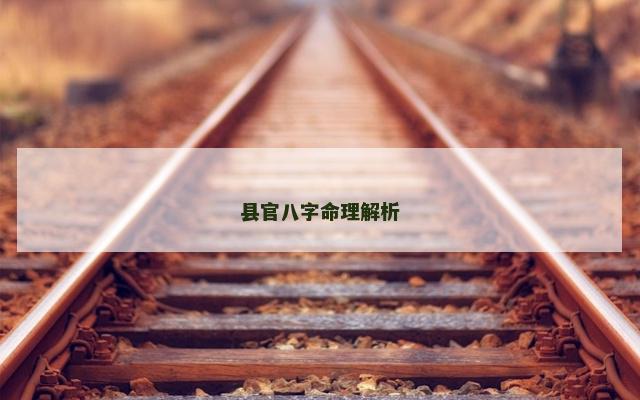 县官八字命理解析