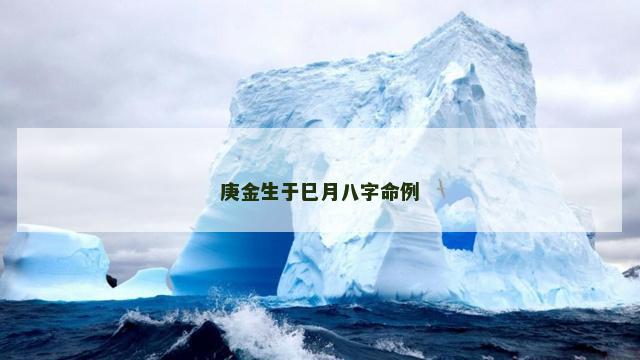 庚金生于巳月八字命例