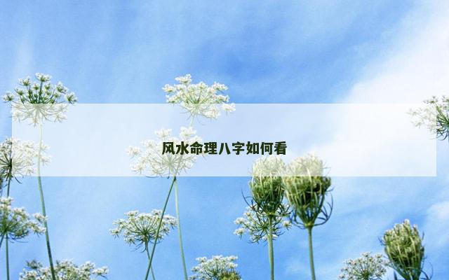 风水命理八字如何看
