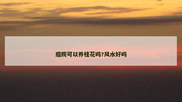庭院可以养桂花吗?风水好吗