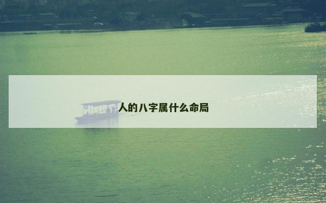 人的八字属什么命局