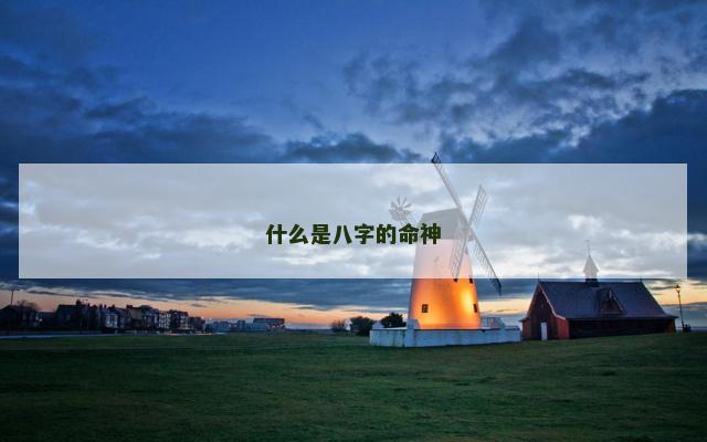 什么是八字的命神
