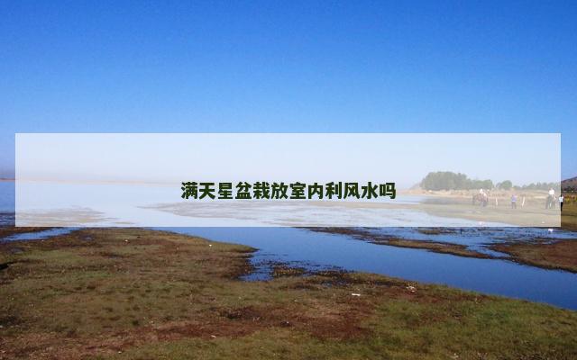 满天星盆栽放室内利风水吗