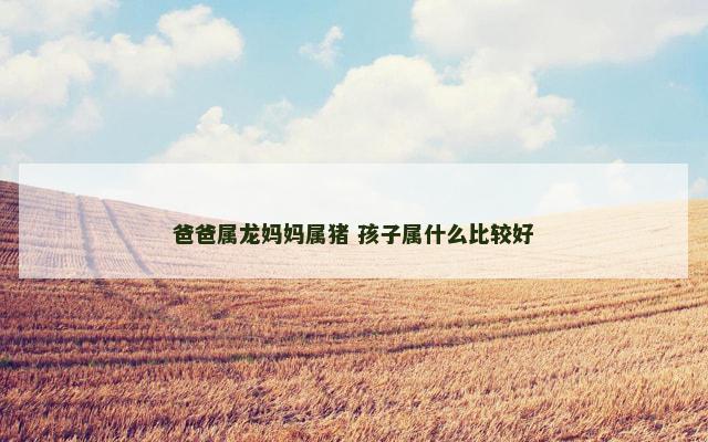 爸爸属龙妈妈属猪 孩子属什么比较好