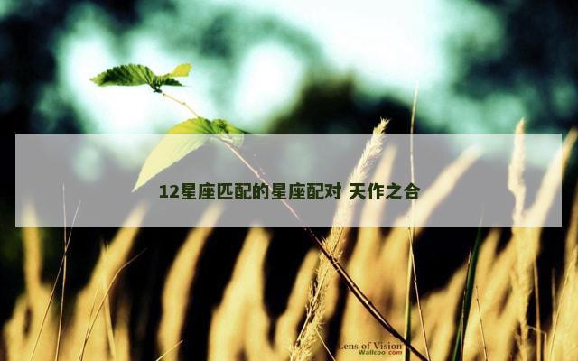 12星座匹配的星座配对 天作之合