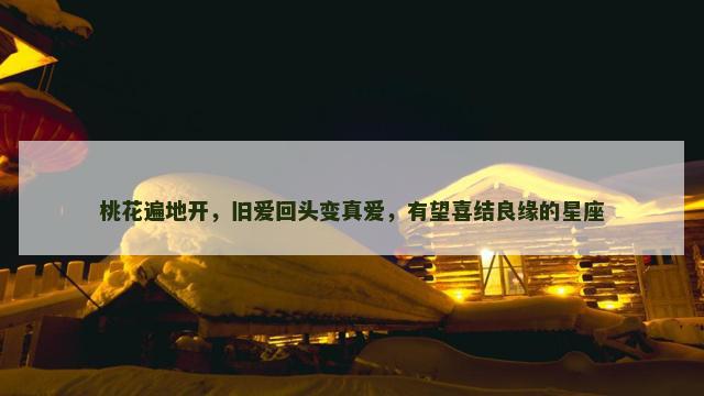 桃花遍地开，旧爱回头变真爱，有望喜结良缘的星座