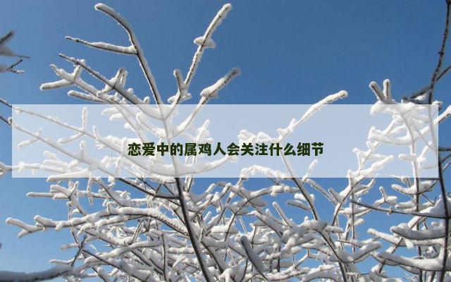 恋爱中的属鸡人会关注什么细节