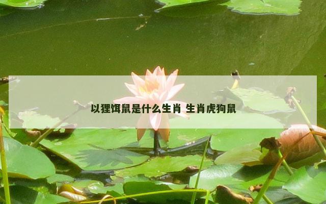 以狸饵鼠是什么生肖 生肖虎狗鼠