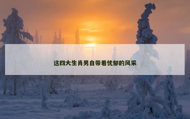 这四大生肖男自带着忧郁的风采