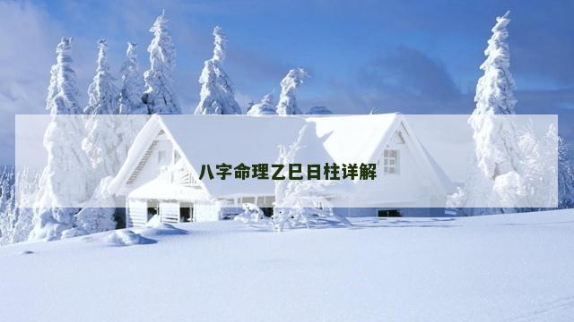 八字命理乙巳日柱详解