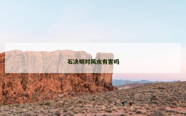 石决明对风水有害吗