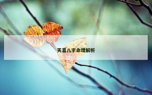 天喜八字命理解析