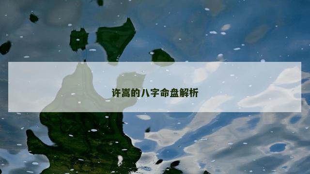 许嵩的八字命盘解析