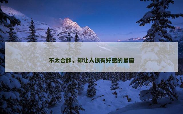 不太合群，却让人很有好感的星座