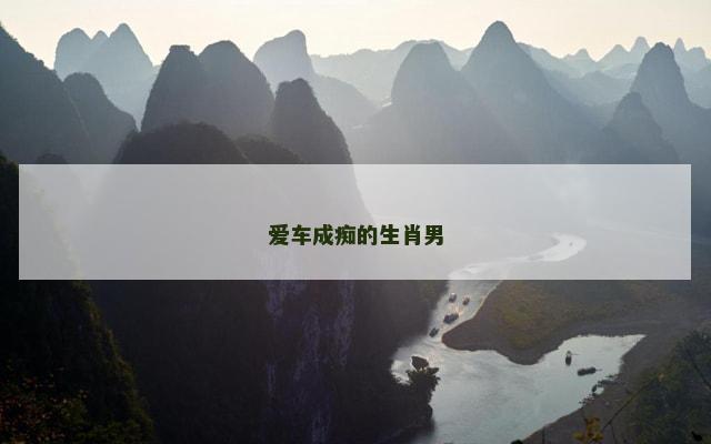 爱车成痴的生肖男