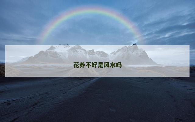 花养不好是风水吗