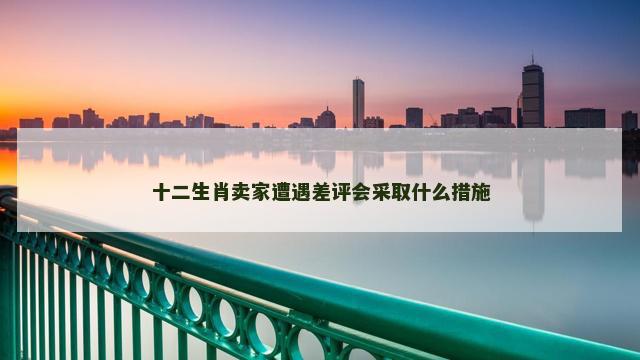 十二生肖卖家遭遇差评会采取什么措施