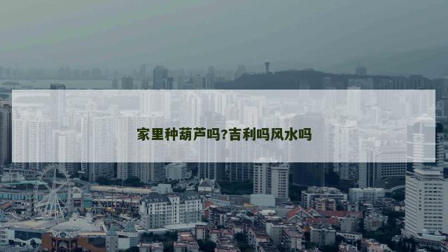家里种葫芦吗?吉利吗风水吗