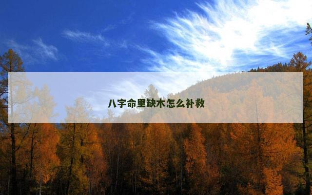 八字命里缺木怎么补救