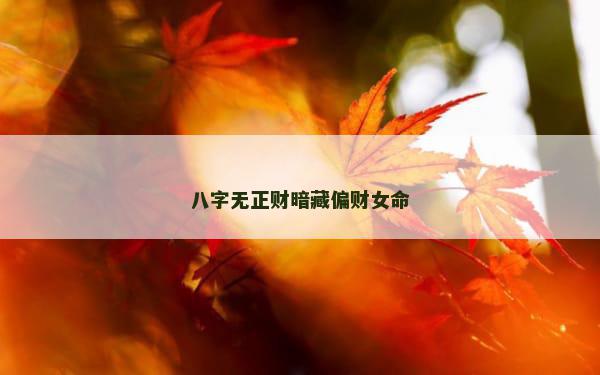 八字无正财暗藏偏财女命