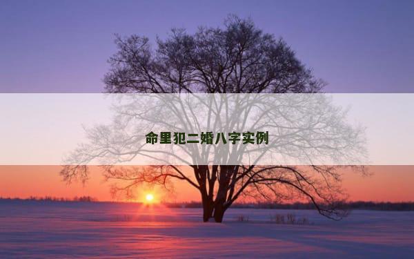 命里犯二婚八字实例