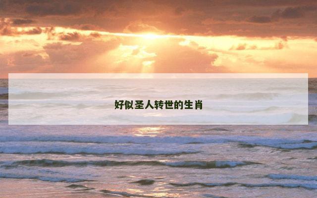好似圣人转世的生肖