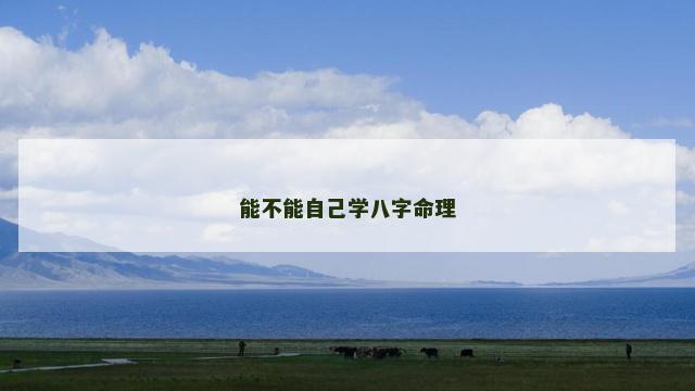 能不能自己学八字命理
