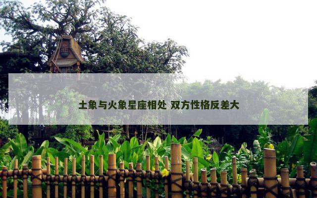 土象与火象星座相处 双方性格反差大