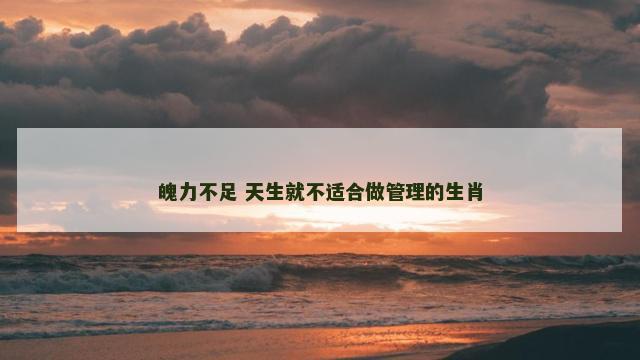 魄力不足 天生就不适合做管理的生肖