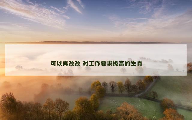 可以再改改 对工作要求极高的生肖
