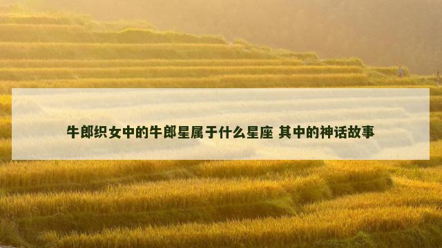 牛郎织女中的牛郎星属于什么星座 其中的神话故事