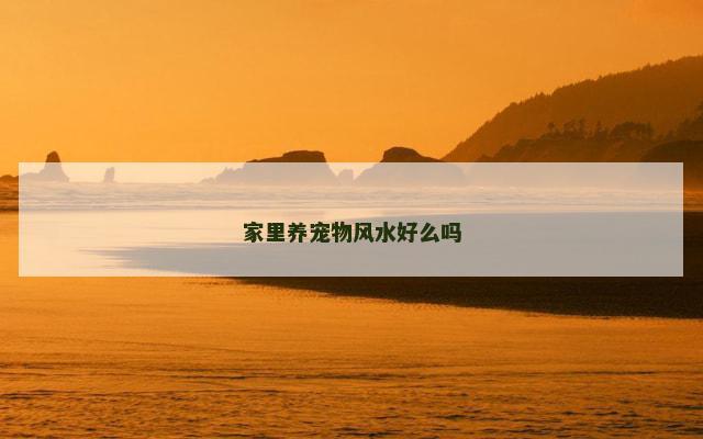 家里养宠物风水好么吗