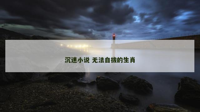 沉迷小说 无法自拔的生肖
