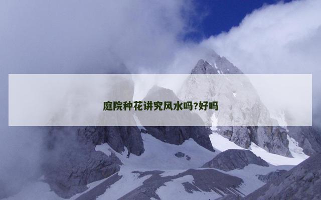 庭院种花讲究风水吗?好吗