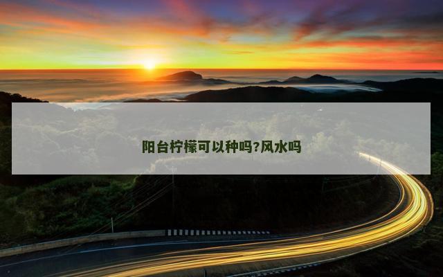 阳台柠檬可以种吗?风水吗
