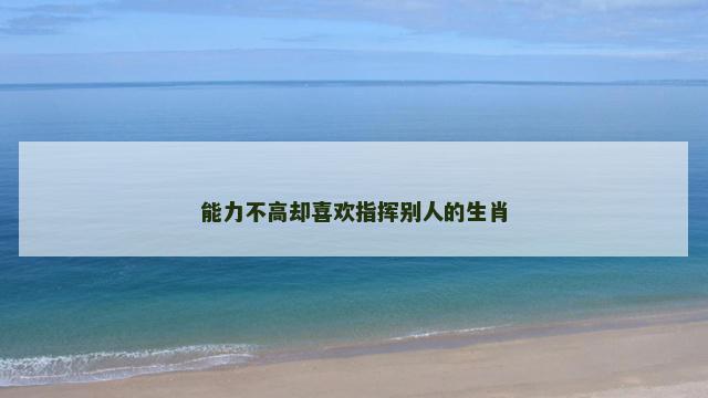 能力不高却喜欢指挥别人的生肖