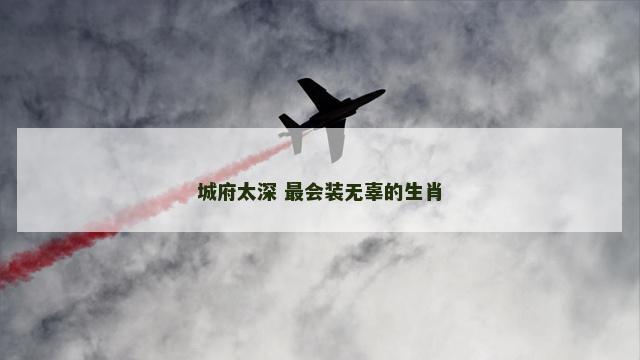 城府太深 最会装无辜的生肖